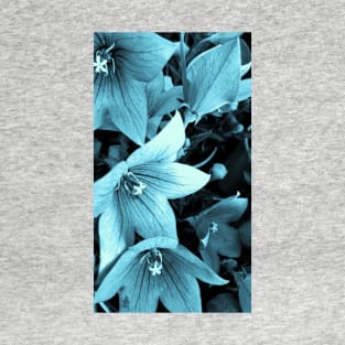 Denim Bluebells T-Shirt